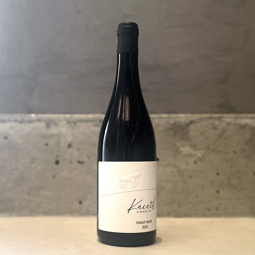 赤)ピノノワール 2021 / カセトル