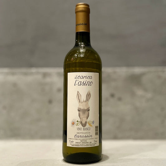 白）カーリカ・ラーズィノ 2023 / カルーシン